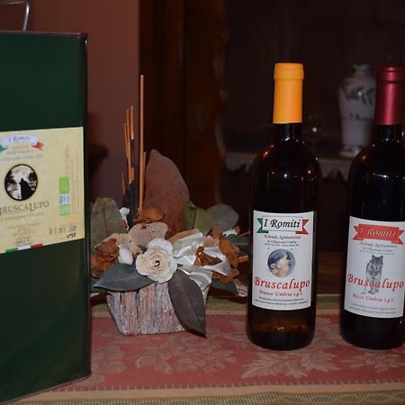 Agriturismo I Romiti Castiglione del Lago Bagian luar foto