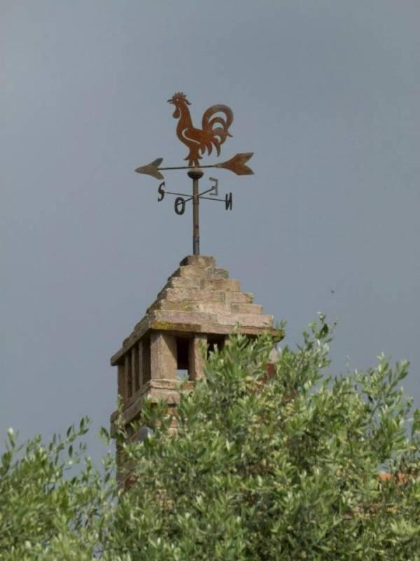Agriturismo I Romiti Castiglione del Lago Bagian luar foto