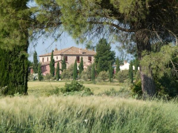 Agriturismo I Romiti Castiglione del Lago Bagian luar foto